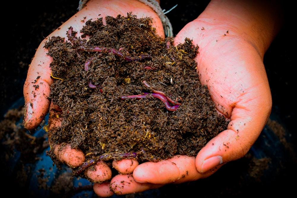 Ratul Puri’s Insights on Regenerative Agriculture and Healthy Soil