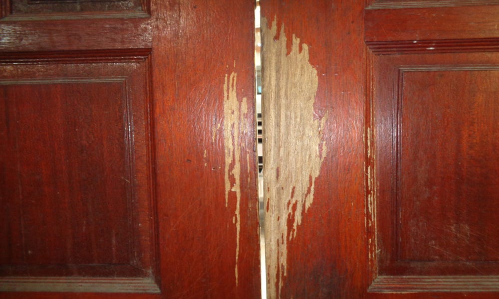 How To Stop A Dog Scratching At The Door? Esteemdog Medium