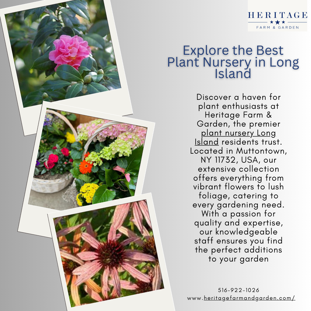 Explore the Best Plant Nursery Long Island at Heritage Farm & Garden