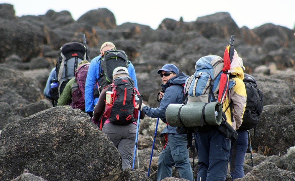 Best Mount Kilimanjaro Climbing Guides on Tour Safari Tanzania