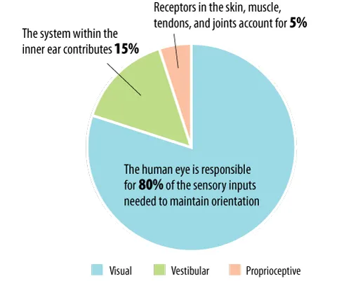 Sensory Inputs