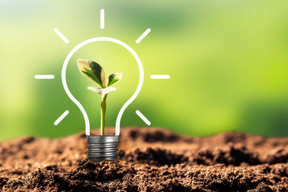 “Seeds to Code”. A Farmer’s Tech Journey from Soil to… by Krishna