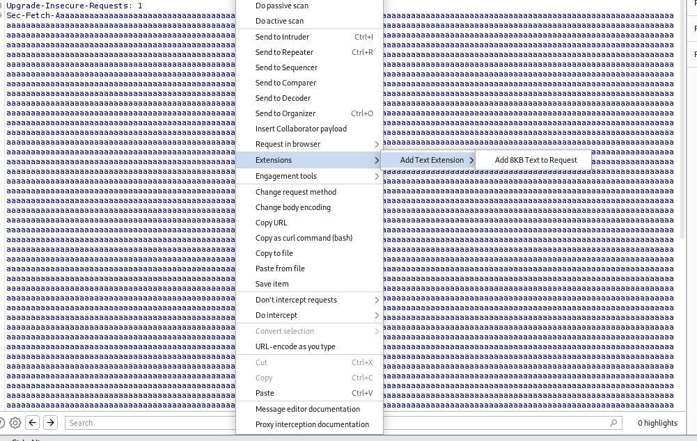 🚀 Introducing ‘Add Text Extension’ for Burp Suite! by Adam Rhys