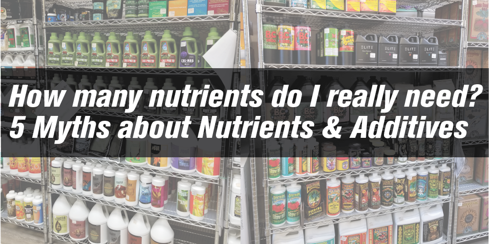 What Are Nutrients and Why Do You Need Them?