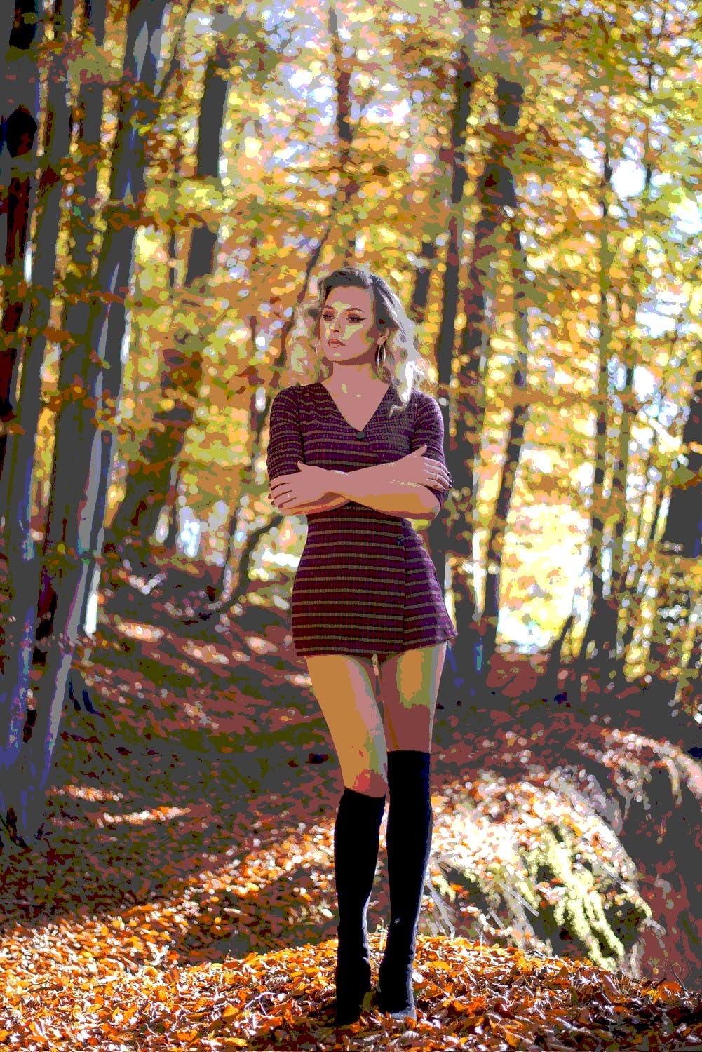 How to posterize an image by reducing colors in Python | by ...