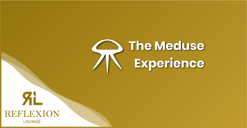 The Meduse Experience