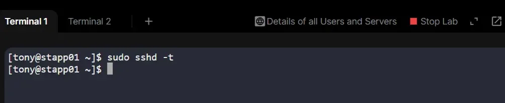 Checking configuration file syntax.