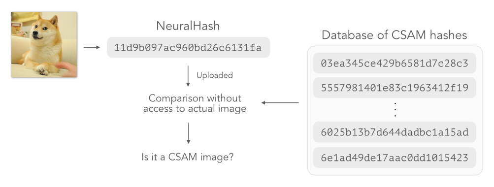 Apple Kills Its Plan to Scan Your Photos for CSAM. Here's What's