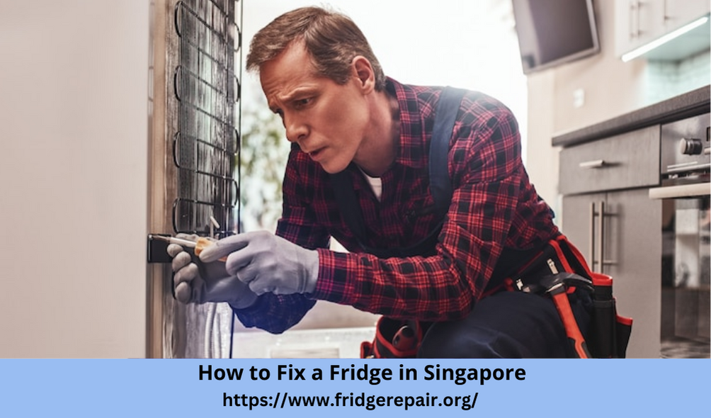 How to Fix a Fridge in Singapore. A fridge is an expensive appliance