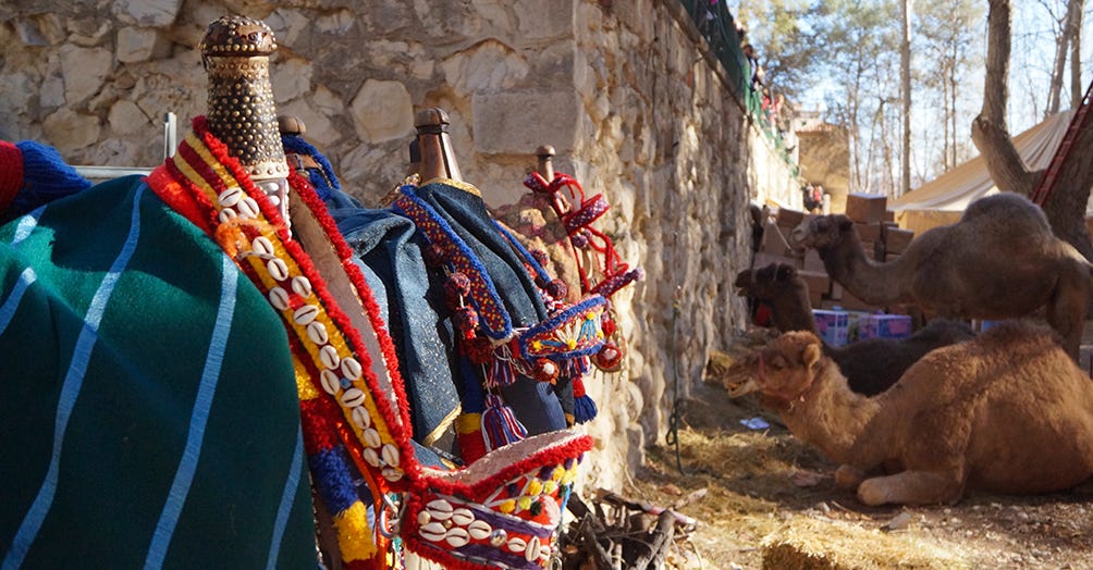 Los camellos reales también formaban parte del decorado, añadiendo así más realismo a una representación que definitivamente fue acogida con más ilusión que nunca por todos aquellos que quisieron acercarse.