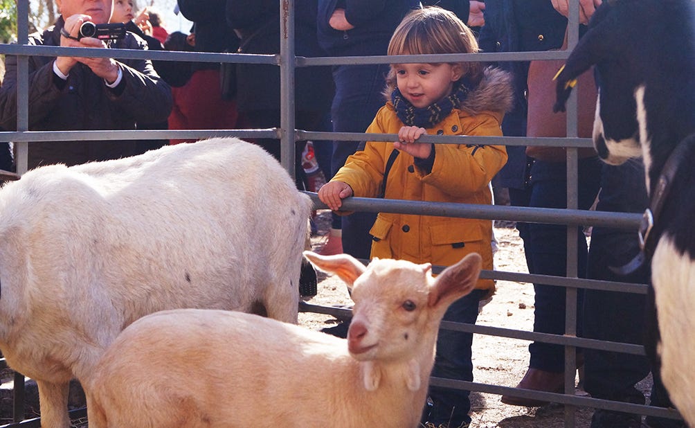 Los más pequeños pudieron disfrutar de un espacio destinado a los animales rurales como ocas y cabras. Estos elementos permitieron a los asistentes disfrutar de una jornada en plena naturaleza.