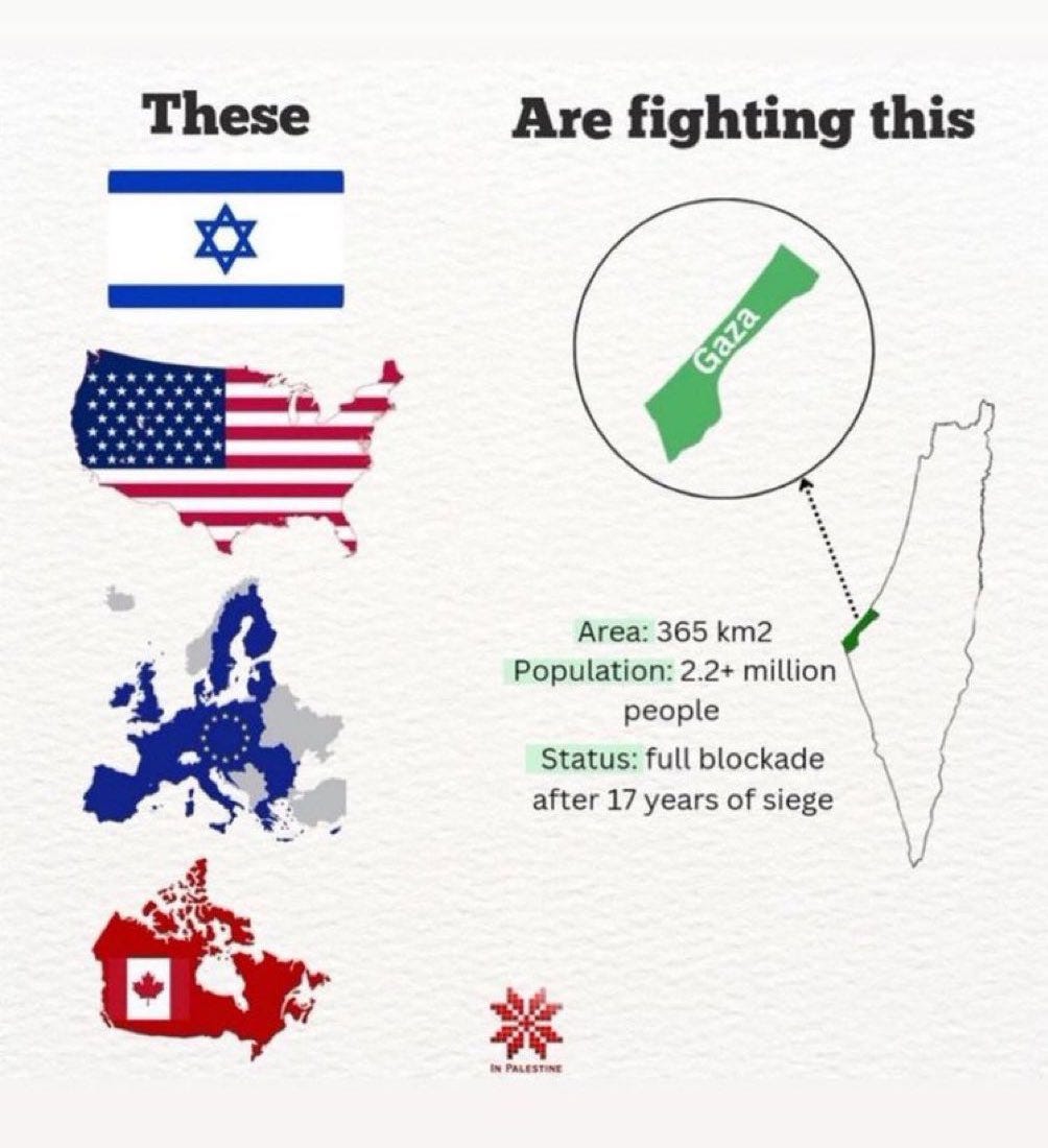 The entire White Western World & its proxies/clients are mobilising all of their resources to punish the Palestinians…and yet they are still going strong! May Allah protect them against genocide. May Allah grant them success in their concrete efforts to decolonise their homeland and to reach a Just Settlement.