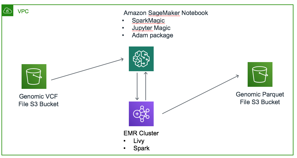 Life Science Use Case Study 1 — Using SageMaker Jupyter Notebook to