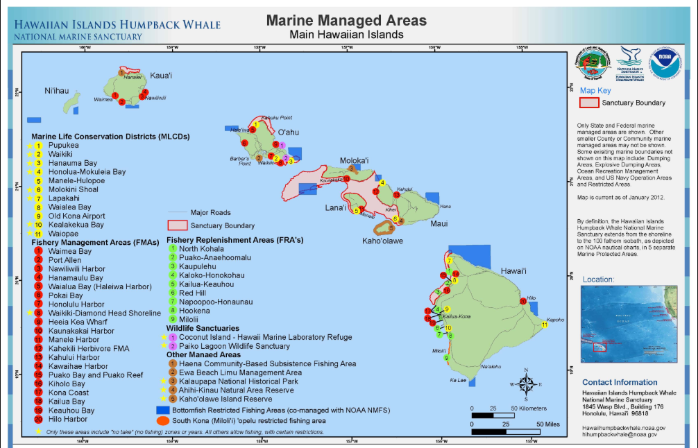 hawaii humpback whale sanctuary