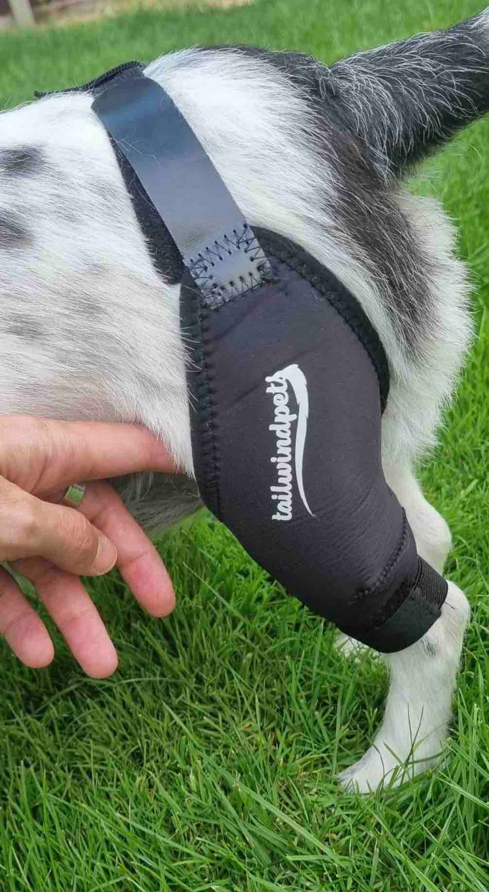Tailwindpets - High Quality Dog Braces