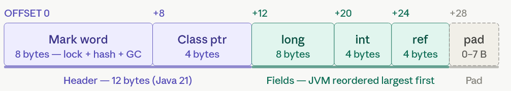 Java 25 Shrinks Every Object on Your Heap — Here’s the Proof
