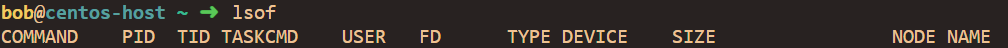 Everything You Need To know About “lsof” Command In Linux