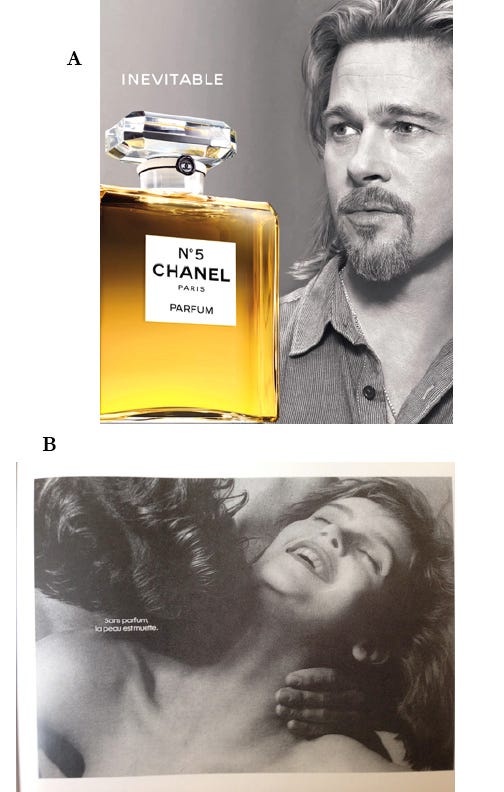 The Secret Of Chanel No. 5 - By Tilar J Mazzeo (paperback) : Target