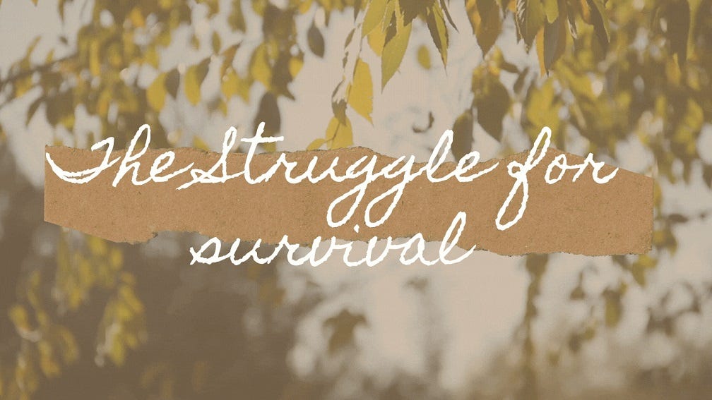 other words for struggle –