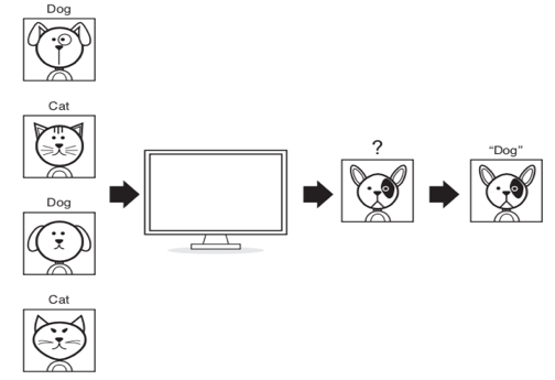 A Gentle Guide to Machine Learning