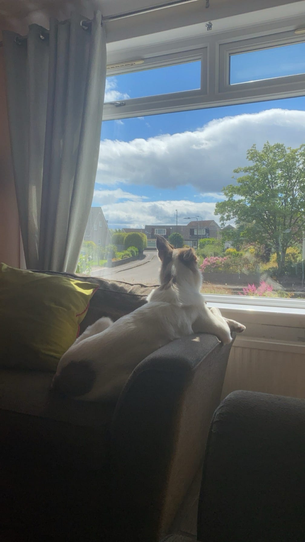 Tails From The Home Office. (Not the government one in London) by