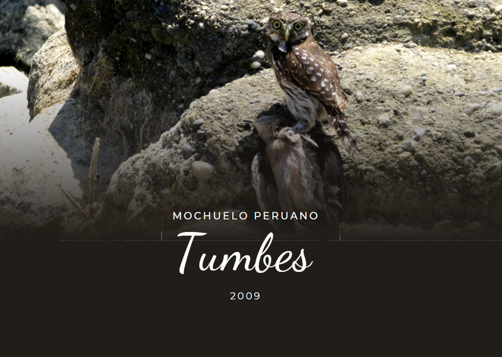 Un deseo llamado Mochuelo.