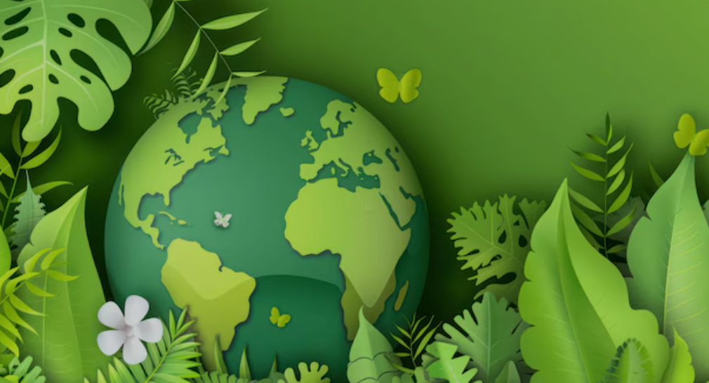 Beyond Decluttering Why Minimalism Is Sustainable Living Game Changer Beyond Decluttering Why Minimalism Is Sustainable Living Game Changer