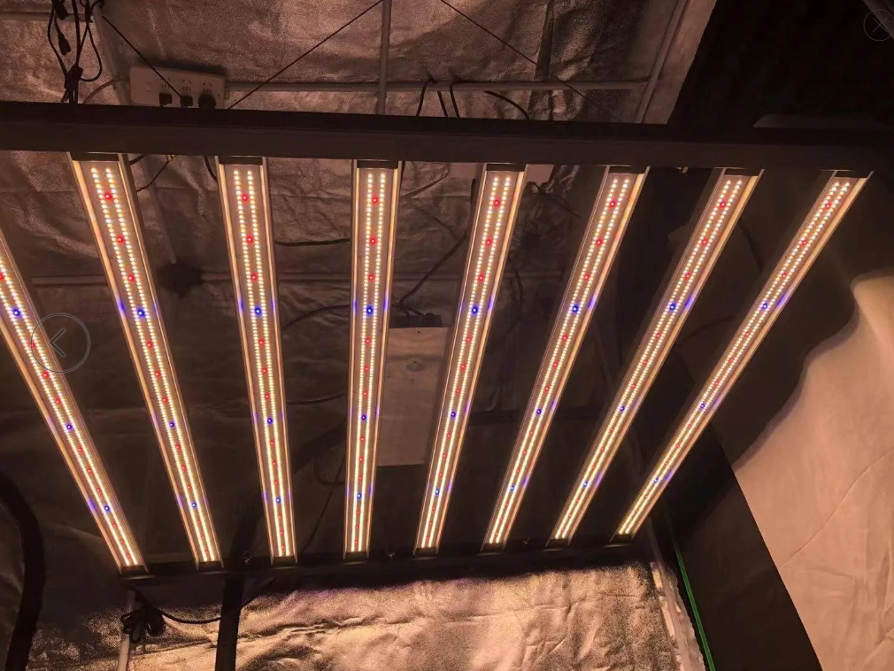 What type of grow light is best for indoor plants ? 2022 Update by