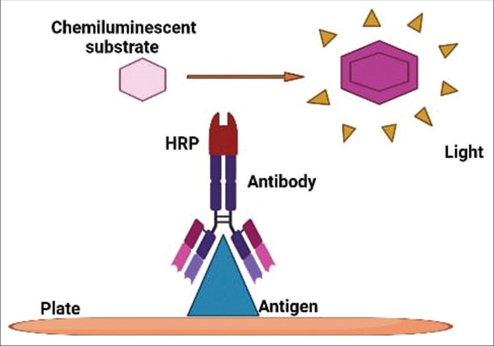 Applications of Chemiluminescence Immunoassay in Medicine by