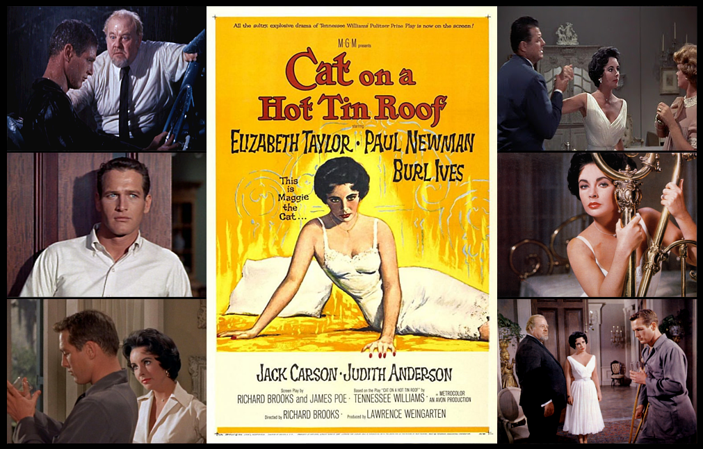 A FILM TO REMEMBER: “CAT ON A HOT TIN ROOF” (1958) | by Scott Anthony |  Medium