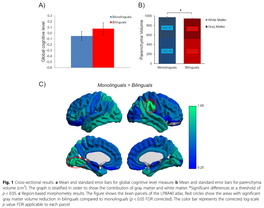Source: Costumero et al.