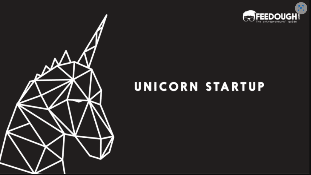 Unicorn Companies Analysis. by Ndubuisi Rebecca Uzondu | by Rebecca ...