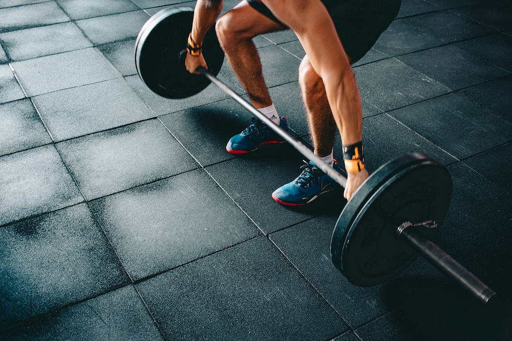 The Ultimate Guide to Building Muscle Mass