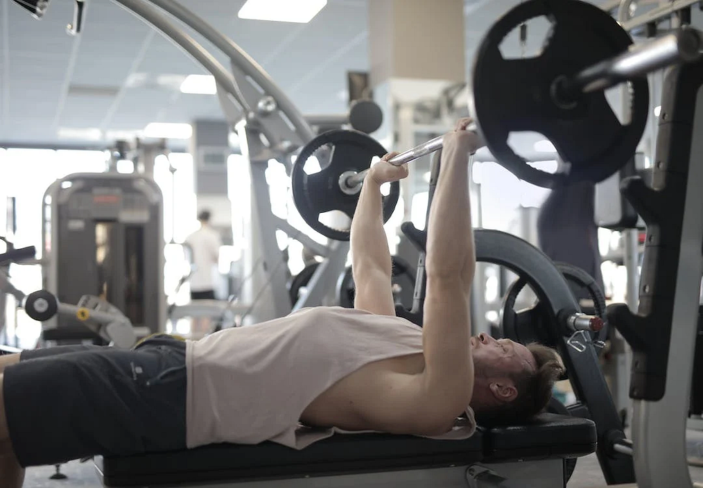 The Ultimate Guide to Building Muscle Mass