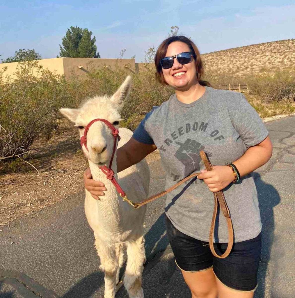 Alpaca Palooza - Alpaca & Goat Encounter - Airbnb