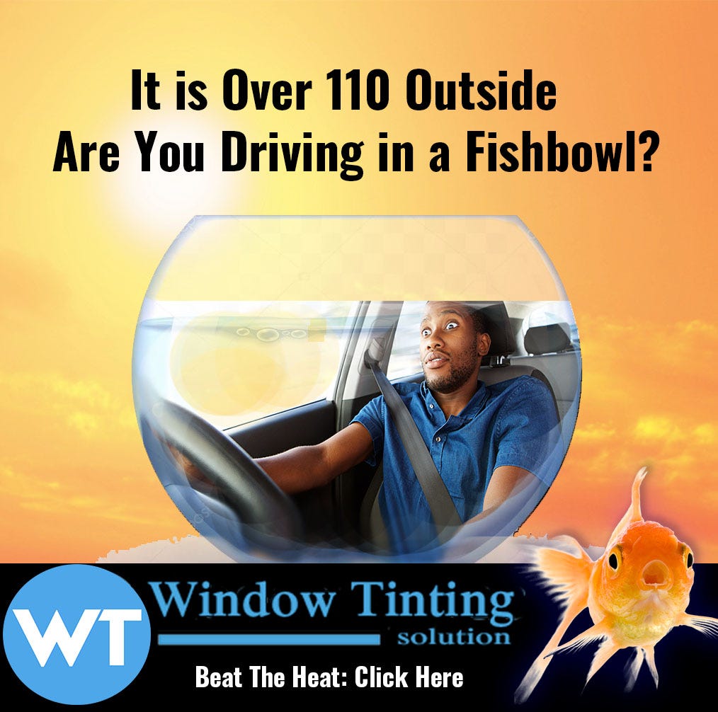 Are You Driving Around In A Fish Bowl By Phoenix Window Tinting fish-bowl-betta-fish-bowl-setup-planted-fish-bowl-betta-fish