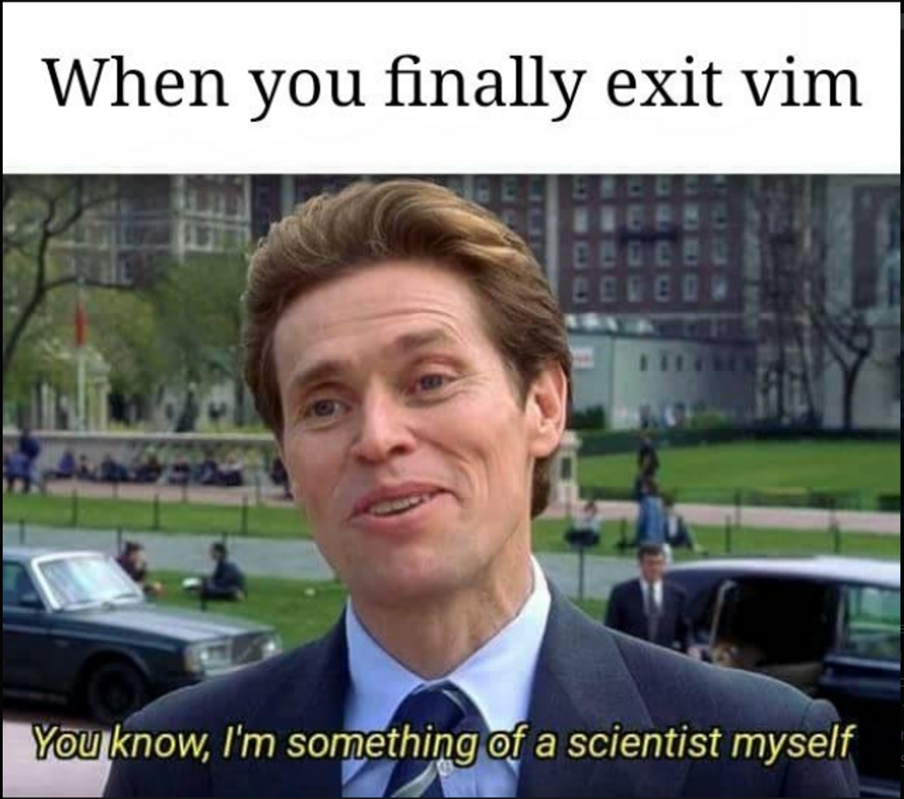 Vim Beginners guide!. Whenever I watch YouTube videos that… | by ayt ...