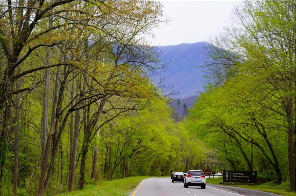 The Distance Between Gatlinburg & Pigeon by Nroodicnd Medium