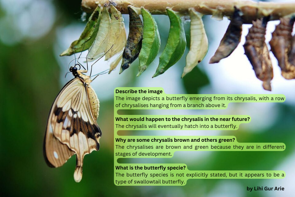 Chat with Your Images Using Llama 3.2-Vision Multimodal LLMs | by Lihi Gur Arie, PhD | Dec, 2024