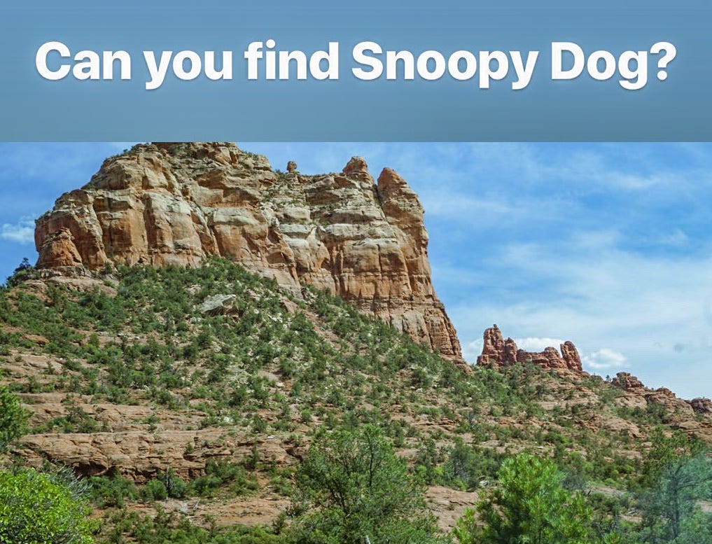 Can you find Snoopy Dog?