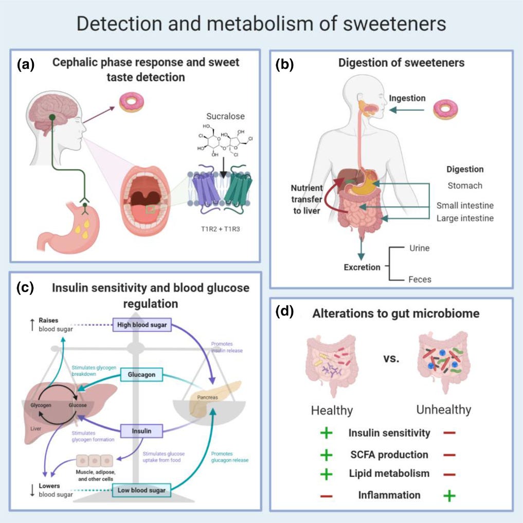 The scientific evidence behind the effects of Artificial Sweeteners on