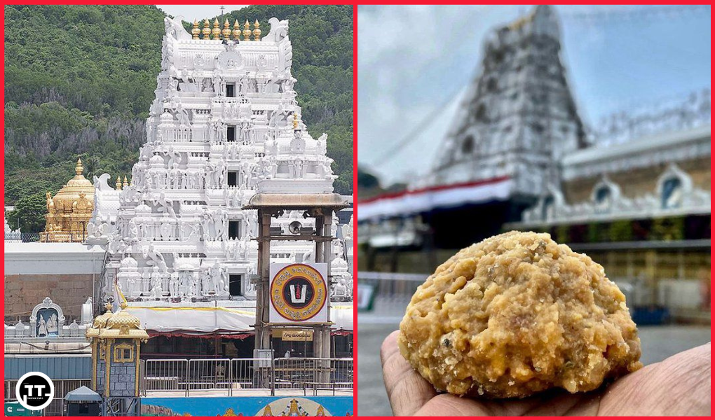 What's the Controversy Surrounding the Tirupati Laddu? Lab Reports Reveal  Animal Fat in the Sacred Offering | by Toofani Times | Sep, 2024 | Medium