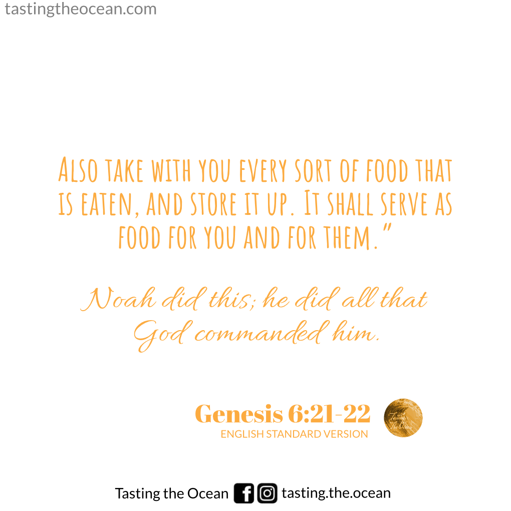 🍃God's grace and Noah.🍃. "Let us learn from Noah to have… by Tasting