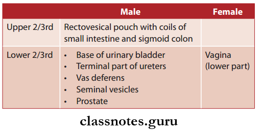 Umbilical Hernia Causes and Treatment