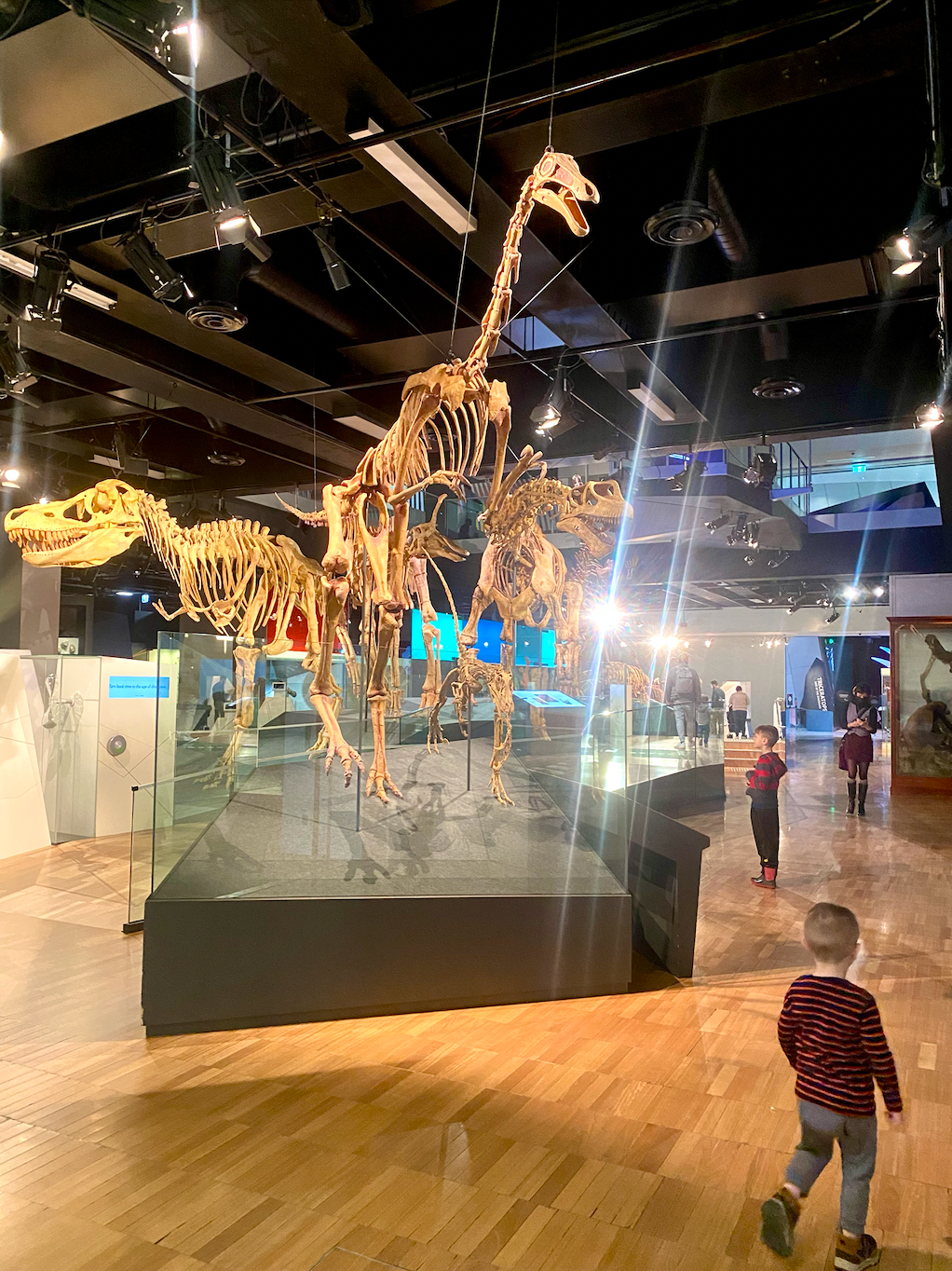 Dinos Alive Immersive Experience Comes To Melbourne In October