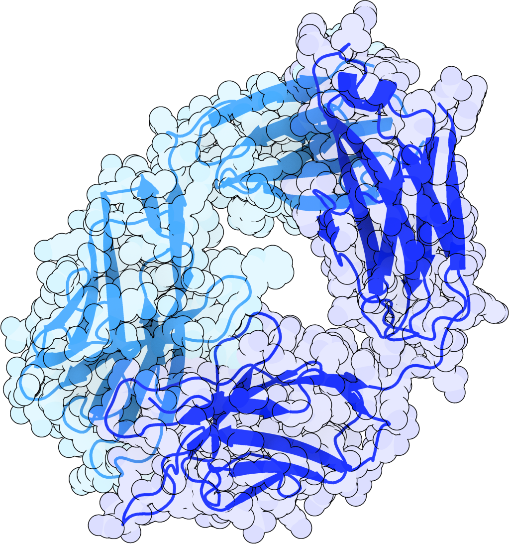“Pemfauxlizumab” made with ColabDesign and AlphaFold2