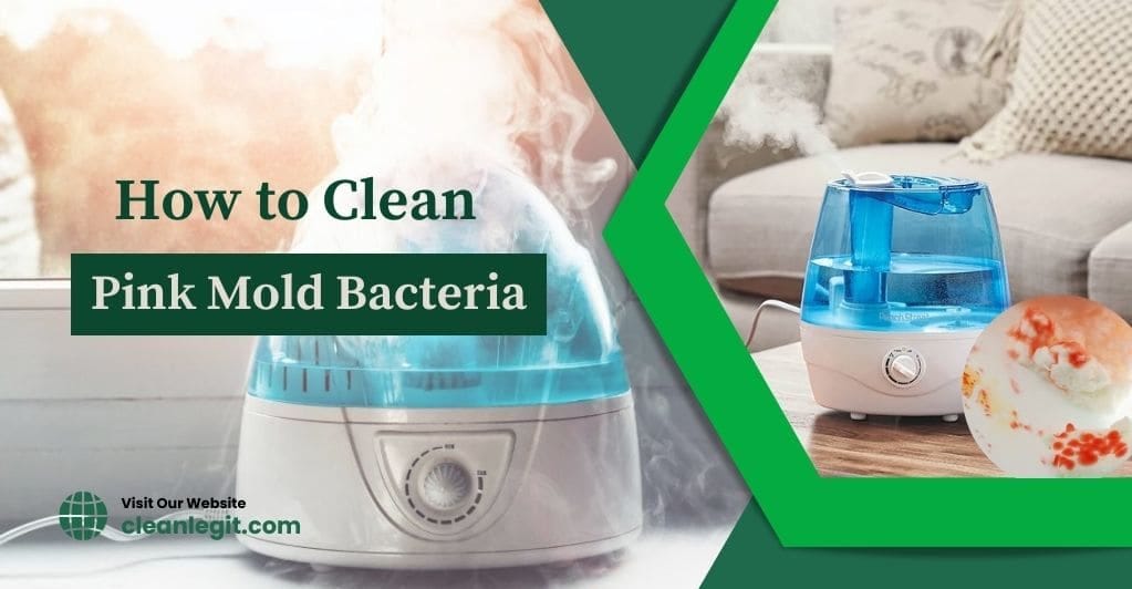 How to Clean Pink Mold in Humidifier, Is it Dangerous? by Olivia