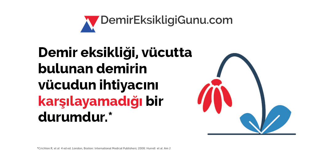 Yeterince demir alıyor musunuz?