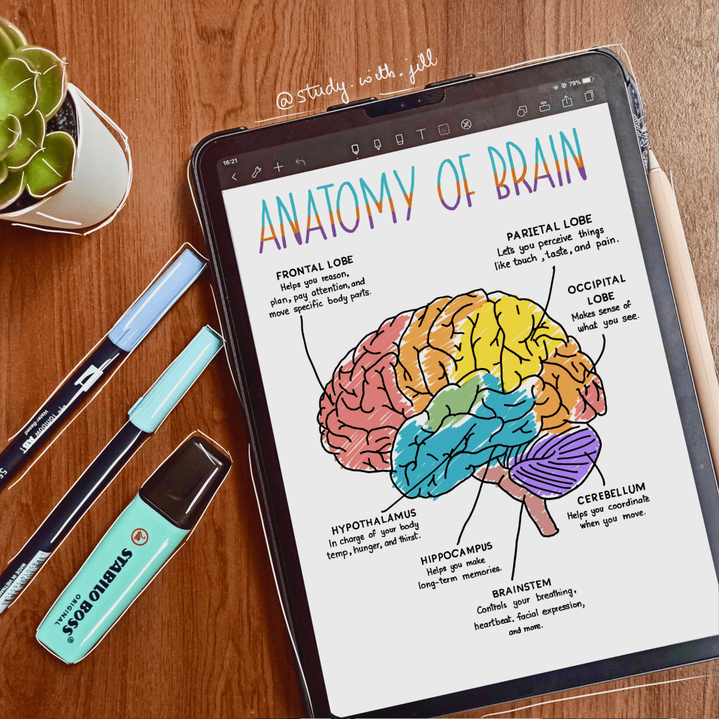 7 Ways To Create Beautiful Study Notes By Sheetal Kala Noteshelf 