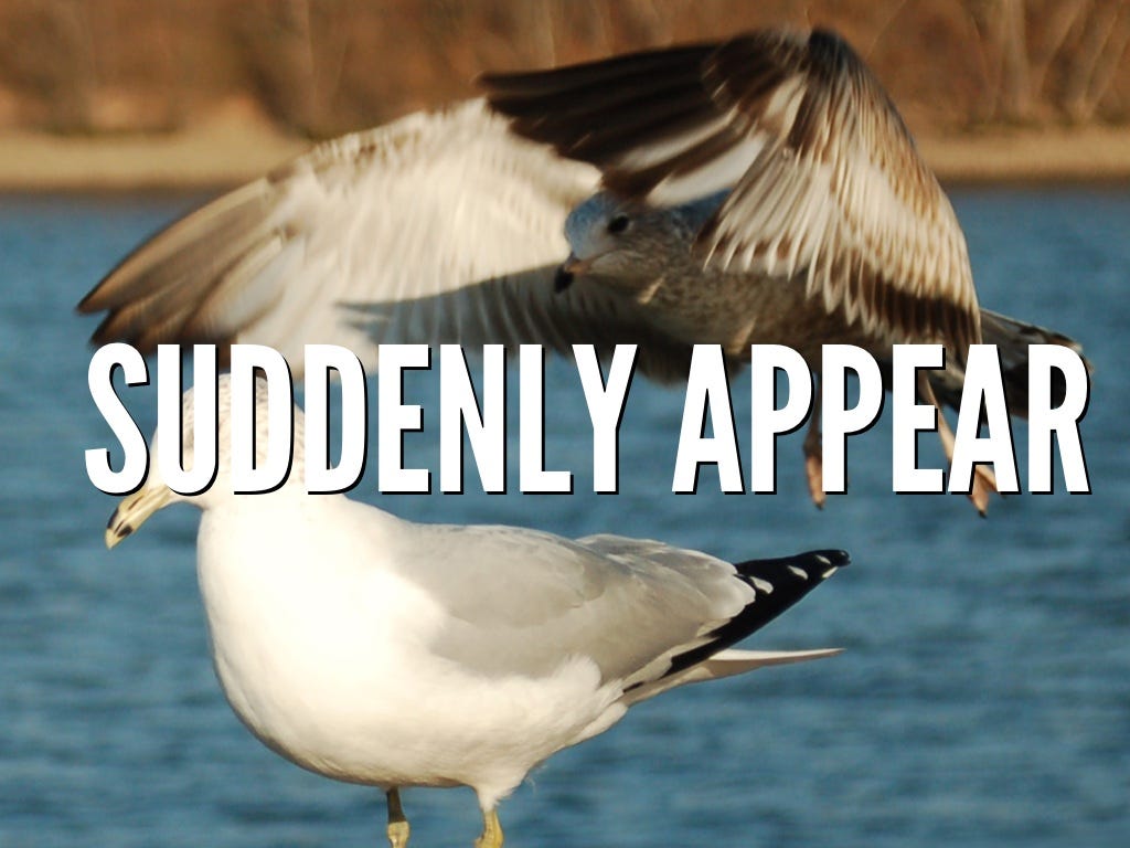 Why Do Birds Suddenly Appear Unveiling Nature’s Awe by whywhy Medium